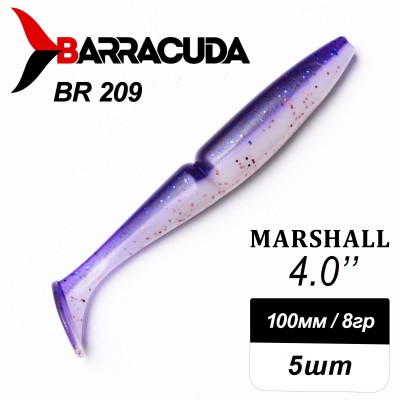Силиконовая приманка Marshall 4.0" (100мм) - 5шт, цвет BR209