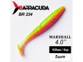 Силиконовая приманка Marshall 4.0" (100мм) - 5шт, цвет BR234