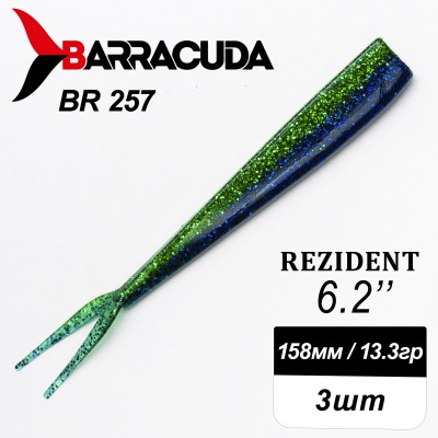 Силиконовая приманка Rezident 6.2" (158мм) - 3шт, цвет BR257