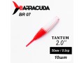 Силиконовая приманка Tantum 2.0" (50мм) - 10шт, цвет BR07