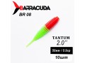 Силиконовая приманка Tantum 2.0" (50мм) - 10шт, цвет BR08
